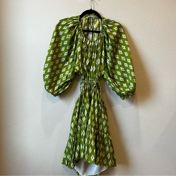 Charina Sarte Mini Dress - Picture 4 of 11